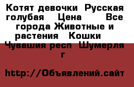 Котят девочки “Русская голубая“ › Цена ­ 0 - Все города Животные и растения » Кошки   . Чувашия респ.,Шумерля г.